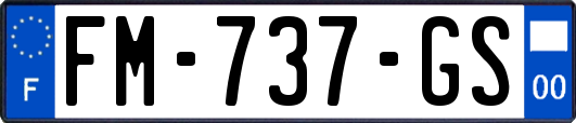 FM-737-GS