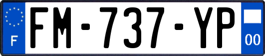 FM-737-YP