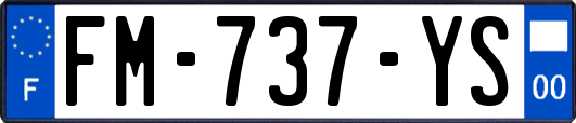 FM-737-YS