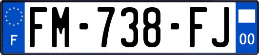 FM-738-FJ