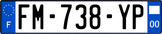 FM-738-YP