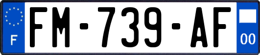 FM-739-AF