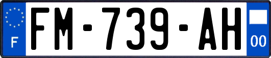 FM-739-AH