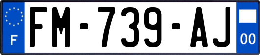 FM-739-AJ