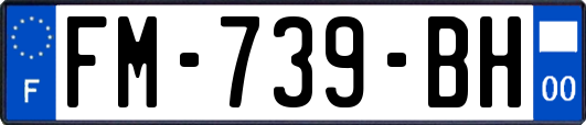 FM-739-BH