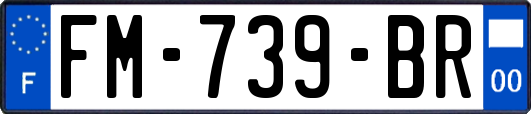 FM-739-BR