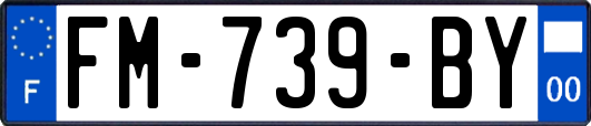 FM-739-BY