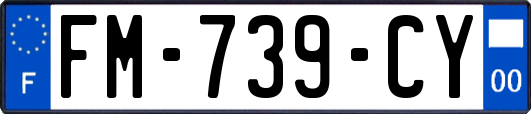 FM-739-CY