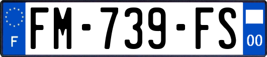 FM-739-FS