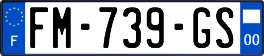 FM-739-GS