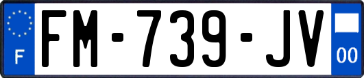 FM-739-JV