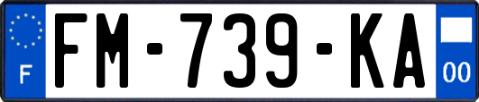 FM-739-KA