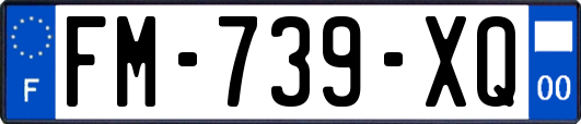FM-739-XQ