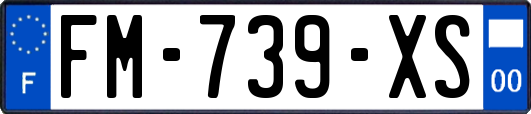 FM-739-XS