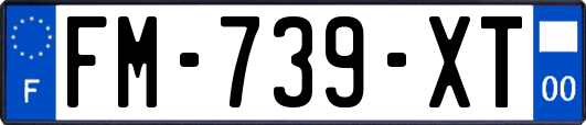 FM-739-XT