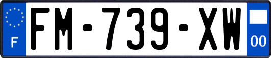 FM-739-XW
