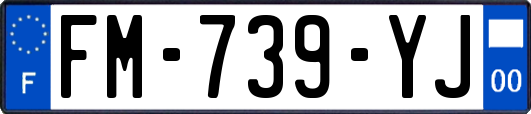 FM-739-YJ