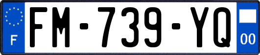 FM-739-YQ