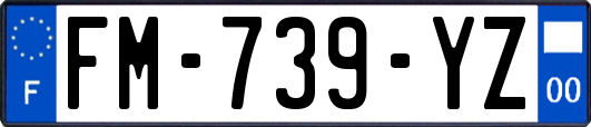 FM-739-YZ