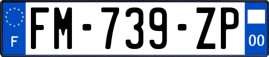 FM-739-ZP