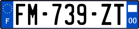 FM-739-ZT