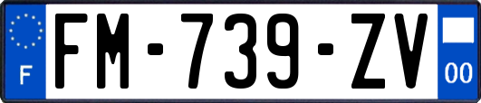 FM-739-ZV
