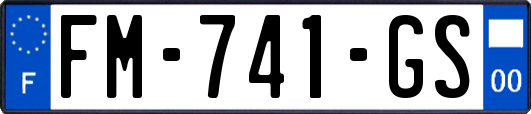 FM-741-GS