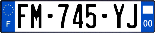 FM-745-YJ