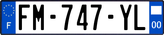 FM-747-YL