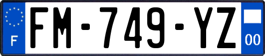 FM-749-YZ
