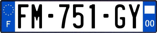 FM-751-GY