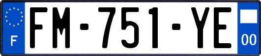 FM-751-YE
