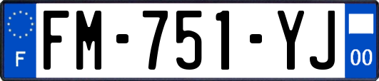 FM-751-YJ