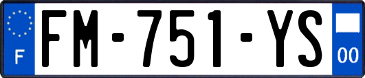 FM-751-YS