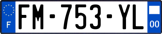 FM-753-YL