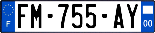 FM-755-AY