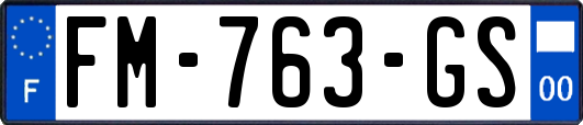 FM-763-GS