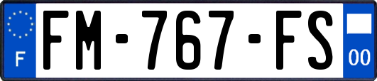 FM-767-FS