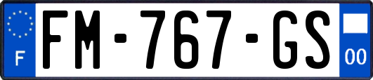 FM-767-GS