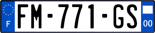 FM-771-GS