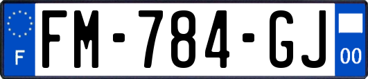 FM-784-GJ