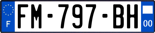 FM-797-BH