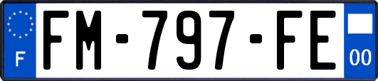 FM-797-FE