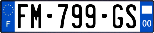 FM-799-GS