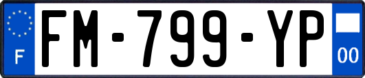 FM-799-YP