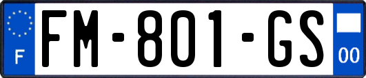 FM-801-GS