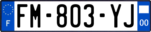 FM-803-YJ