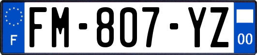 FM-807-YZ