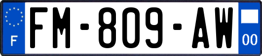 FM-809-AW