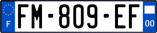 FM-809-EF